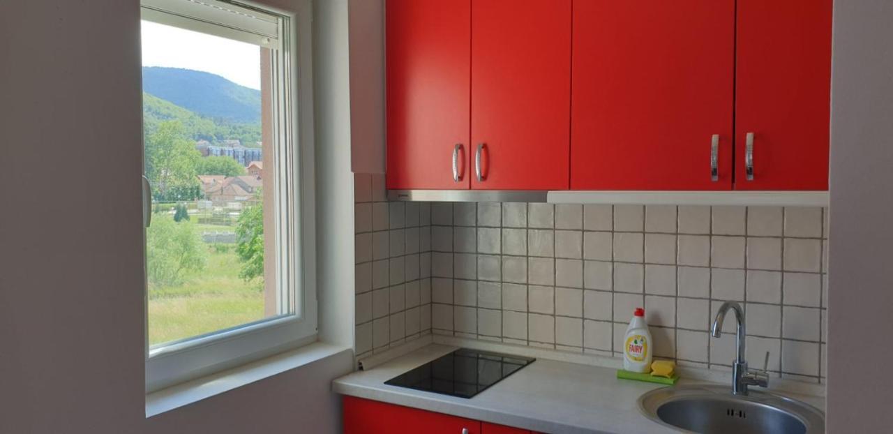 Lux Apartman Ristic 2 Soko Banja Esterno foto